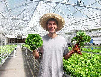 Greenhouse Vegetables