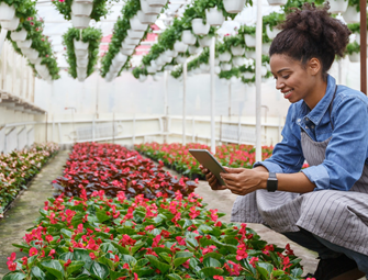 Greenhouse Flowers