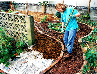 Urban Gardening