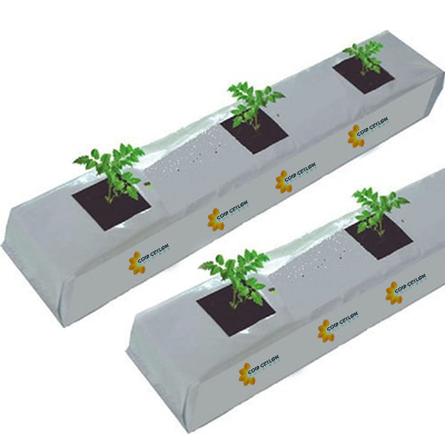 Cocopeat grow Bags