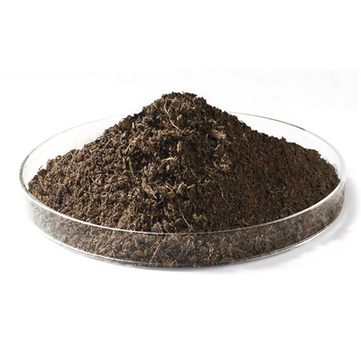 Cocopeat grow Bags
